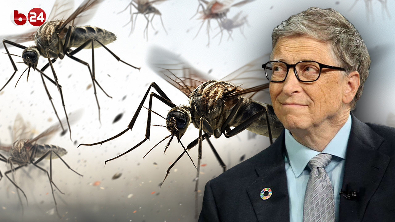 World Mosquito Program: Il mistero delle zanzare OGM finanziate da Bill Gates